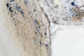 Best Residential Mold Inspection & Testing  in Milwaukee, WI